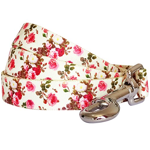 Blueberry Pet - Correa de perro, arnés y collar a juego disponibles por separado