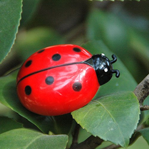 BOBEINI Cat Toys Teaser Interactive Pet Beetle Cicada Auto Electric Walking Insecto Mini