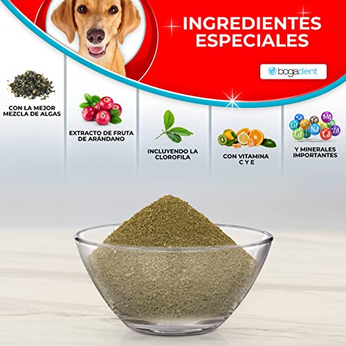 Bogadent - Plaque-Stop - Protección Dental para Perros, 70g, Polvo para Eliminar Sarro y Placa, Cuidado Contra el Mal Aliento, Refrescante, Elimina el Sarro Fácilmente, Limpieza Dental, UBO0727