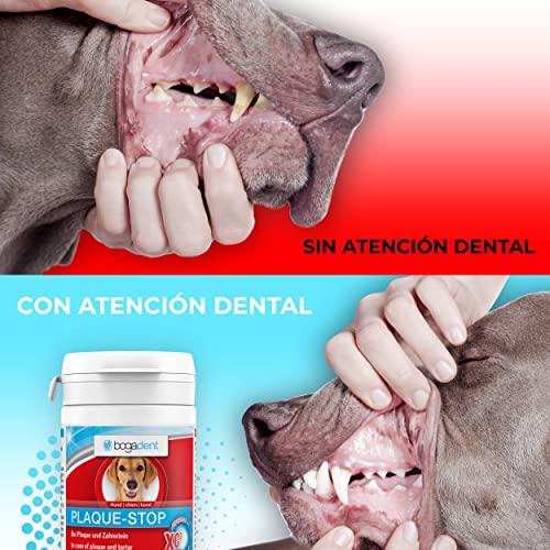 Bogadent - Plaque-Stop - Protección Dental para Perros, 70g, Polvo para Eliminar Sarro y Placa, Cuidado Contra el Mal Aliento, Refrescante, Elimina el Sarro Fácilmente, Limpieza Dental, UBO0727