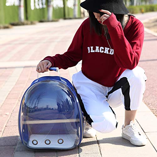 Bolsa de viaje transpirable de 360 ° de viaje para mascotas con cápsula espacial transparente