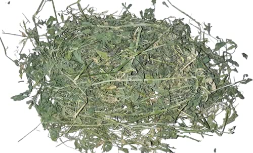 Book-A-Bale 750g Heno de Alfalfa de Calidad - Fresco Directamente del Agricultor en España