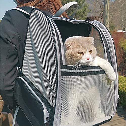 BOW CALICO Mochila Transportín Perro, Mochila Transportín Gato Bien Ventilado con Correa de Seguridad Interior, Bolsa de Transporte para para Gatos y Perros Pequeños (12.6 * 11 * 16.12 Inch)