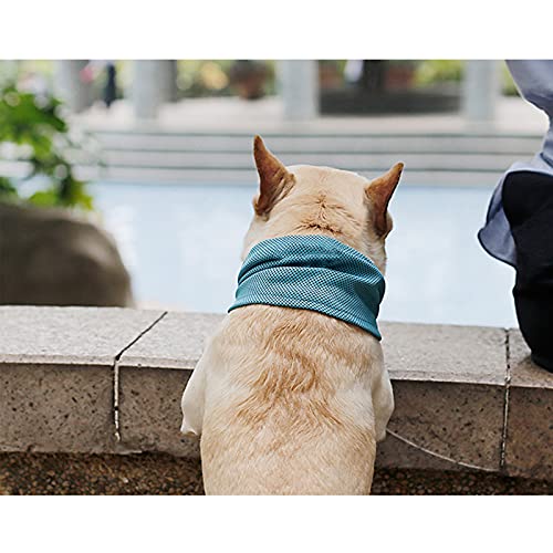 Bufandas Protectoras de Protección Solar, Ropa Refrescante para Mascotas Bufanda de Enfriamiento para Mascotas para Perros/Gatos,Blue,M(Neck45cm)