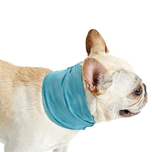 Bufandas Protectoras de Protección Solar, Ropa Refrescante para Mascotas Bufanda de Enfriamiento para Mascotas para Perros/Gatos,Blue,M(Neck45cm)