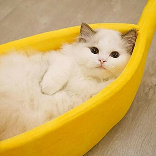 BYYLECL Linda casa de cama de plátano para gatos, cueva de cama para gatos, suave y cálida para mascotas, cojín de felpa para gatitos, gatos, perros
