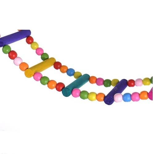 CABLEPELADO Escalera para pajaros de Madera Juguete Pajaro Multicolor