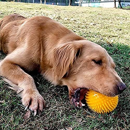 CABLEPELADO Pelota para Perros Erizo con Sonido 6 cm Azul