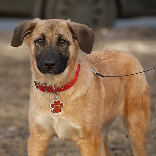 CAMAL Chapa Perro Grabada, Placas Identificativas Perros Personalizables, Medalla Purpurina Para Gatos y Perros con Diferentes Formas (Ronda)