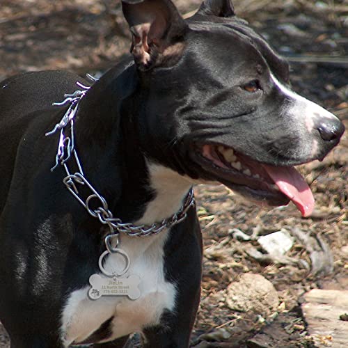 CAMAL Placas para Perros Grabadas Acero Inoxidable, Placas Identificativas Perros Personalizables para Collar Perro Gato Mascota, Chapa Perro Grabada, Forma de Hueso (Oro Rosa, Grande)