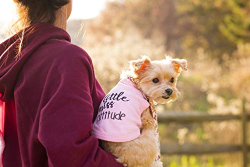 Camisas para mascotas parisinas divertidas para perros y gatos con precaución no puede controlar mi lamer, yo trabajo fuera, pequeño monstruo, WTF, Little Miss Attitude (Little Miss Attitude, XXS)