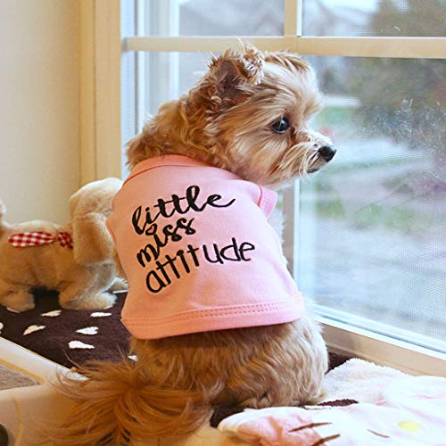 Camisas para mascotas parisinas divertidas para perros y gatos con precaución no puede controlar mi lamer, yo trabajo fuera, pequeño monstruo, WTF, Little Miss Attitude (Little Miss Attitude, XXS)
