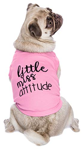 Camisas para mascotas parisinas divertidas para perros y gatos con precaución no puede controlar mi lamer, yo trabajo fuera, pequeño monstruo, WTF, Little Miss Attitude (Little Miss Attitude, XXS)