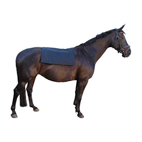 Campo magnético Matte para perros, campo magnético Terapia, campo magnético – , terapia – Manta, perros, cama para perros, codera displasia, edad debilidad u.s.w. 98 cm x 70 cm en antracita/negro.