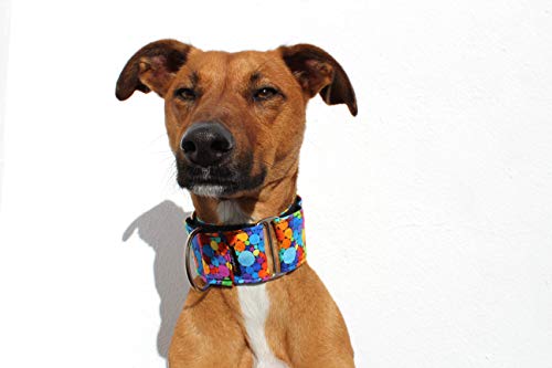 candyPet Collar Martingale para Perros - Modelo Circle, L