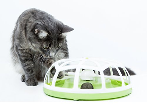 Catit Juguete Interactivo Roundabout