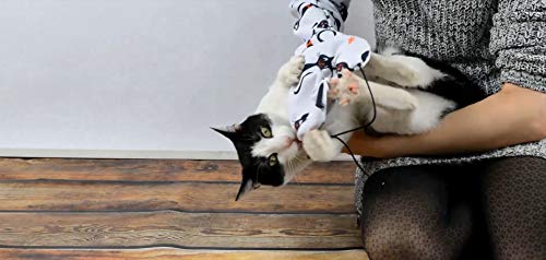 CatMaster - Guante protector juguete para gatos.