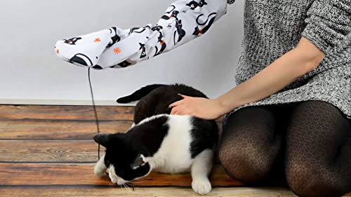 CatMaster - Guante protector juguete para gatos.