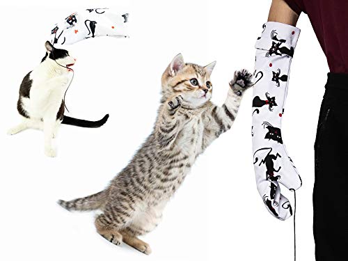 CatMaster - Guante protector juguete para gatos.