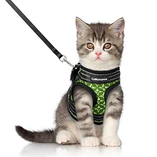 CatRomance Arnés para Gato Ajustable y Antifugas con Correa de 150 cm, Arnés Gato Reflectante de Tela de Malla Suave y Transpirable para Correr, Entrenamiento, Gatos Mediano y Adultos, Verde, M