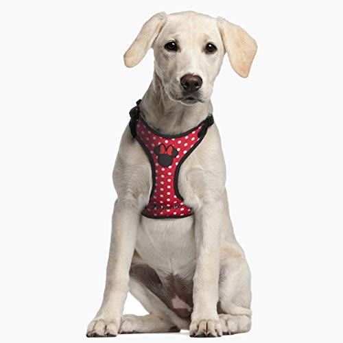 Cerdá Life'S Little Moments Arnes Perro Pequeño Rojo De Minnie Mouse - Licencia Oficial Disney 80 g