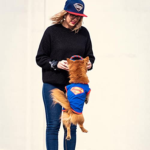CERDÁ LIFE'S LITTLE MOMENTS - For Fan Pets, Camiseta para Perro de Superman - Licencia Oficial DC Comics, Azul