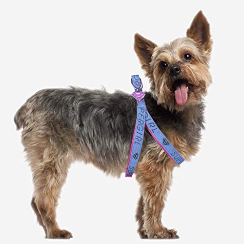 CERDÁ LIFE'S LITTLE MOMENTS Petral Perro Grande de Super Girl - Licencia Oficial Disney Super Girl®