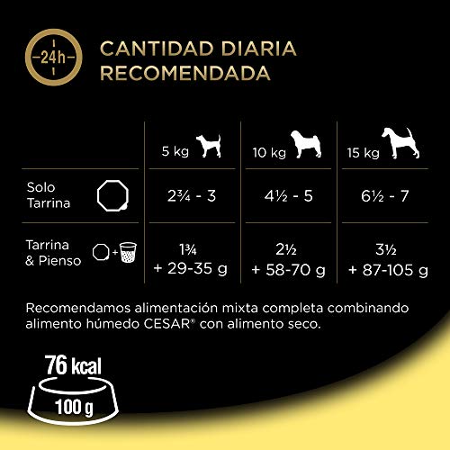 Cesar Comida Húmeda para Perros, Recetas de la Huerta en Paté y Gelatina (Pack de 14 Tarrinas x 150g)