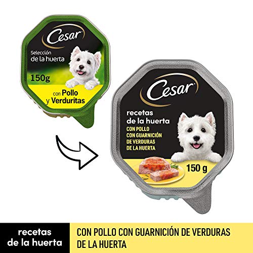 Cesar Comida Húmeda para Perros, Recetas de la Huerta en Paté y Gelatina (Pack de 14 Tarrinas x 150g)
