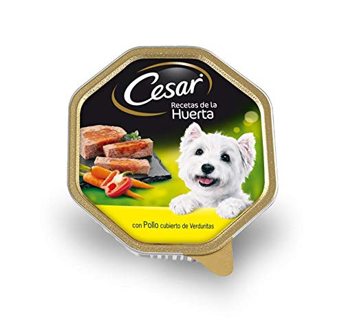 Cesar Comida Húmeda para Perros, Recetas de la Huerta en Paté y Gelatina (Pack de 14 Tarrinas x 150g)