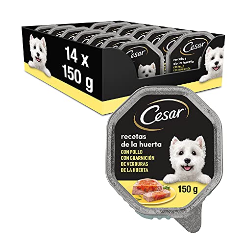 Cesar Comida Húmeda para Perros, Recetas de la Huerta en Paté y Gelatina (Pack de 14 Tarrinas x 150g)