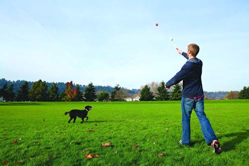 Chuckit 06100 Lanzador Junior 18 M, Lanzador de Pelotas para Perros, Juguete para Perros