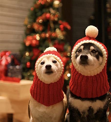 CIDCIJN Sombrero para Mascotas - Sombrero para Mascotas Invierno Cálido De Punto Perro De Navidad Shiba Inu Teddy Big Dog British Shorthair Cat Christmas Red Hat Family Hats, L (Cuello32,62Cm)