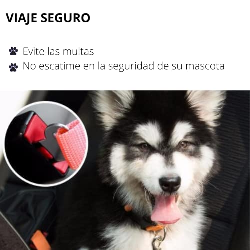Cinturón de Coche para Perro y Gatos homologado| Seguridad para Perros y Gatos de Todas Las Razas con está Correa Desde 42cm hasta 69cm de Largo| Cinturón Transportar su Mascota