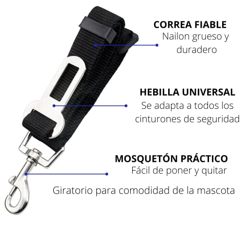 Cinturón de Coche para Perro y Gatos homologado| Seguridad para Perros y Gatos de Todas Las Razas con está Correa Desde 42cm hasta 69cm de Largo| Cinturón Transportar su Mascota