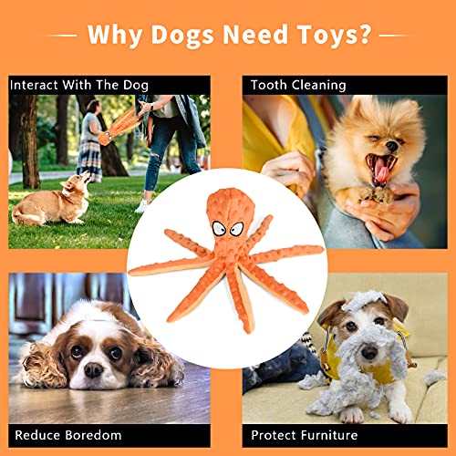 CITAMAMA Juguete para Perro Chirriante, 5 Paquete Juguetes con Sonido para Perros Juguetes de Peluche para Juguete para Masticar Cachorros Juego Interactivo para Perros