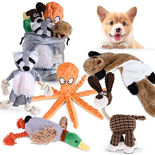 CITAMAMA Juguete para Perro Chirriante, 5 Paquete Juguetes con Sonido para Perros Juguetes de Peluche para Juguete para Masticar Cachorros Juego Interactivo para Perros