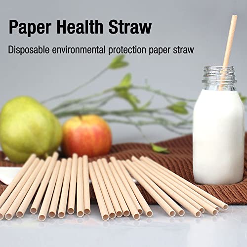 CJBIN Tubo para Nido de Abejas, 300 Tubos de Cartón para Hotel de Insectos, Tubos de cartón para Rellenar Hotel de Insectos Colmena o casita de Abejas