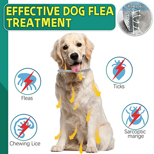 Collar Antipulgas para Perros, Collar Antiparasitario e Impermeable de 63,5 cm para Perros, 8 Meses Eficaz para Repeler Pulgas y Garrapatas Durante, Apto para Perros Pequeños, Medianos y Grandes—1pcs