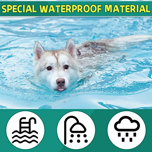 Collar Antipulgas para Perros, Collar Antiparasitario e Impermeable de 63,5 cm para Perros, 8 Meses Eficaz para Repeler Pulgas y Garrapatas Durante, Apto para Perros Pequeños, Medianos y Grandes—1pcs