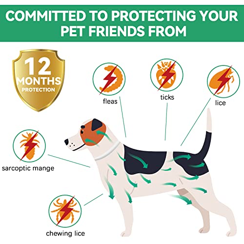 Collar Antipulgas Perros, Seguro y Eficaz Collar Antiparasitario Perros Hecho de Aceites Esenciales 100%, Collares Antipulgas para Perros de 12 Meses de Eficacia para Perros de Todos Los Tamaños