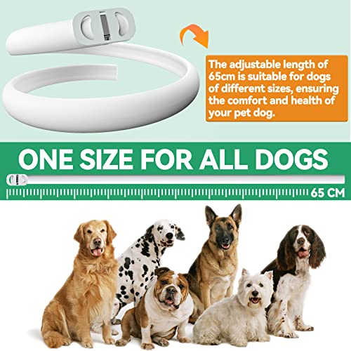 Collar Antipulgas Perros, Seguro y Eficaz Collar Antiparasitario Perros Hecho de Aceites Esenciales 100%, Collares Antipulgas para Perros de 12 Meses de Eficacia para Perros de Todos Los Tamaños