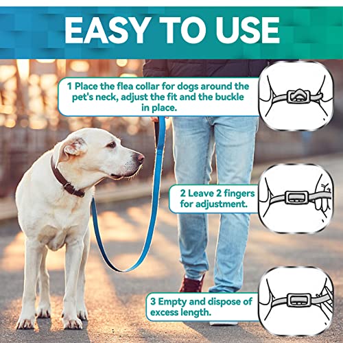 Collar Antipulgas Perros, Seguro y Eficaz Collar Antiparasitario Perros Hecho de Aceites Esenciales 100%, Collares Antipulgas para Perros de 8 Meses de Eficacia para Perros de Todos Los Tamaños