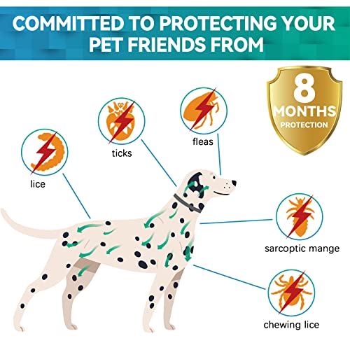 Collar Antipulgas Perros, Seguro y Eficaz Collar Antiparasitario Perros Hecho de Aceites Esenciales 100%, Collares Antipulgas para Perros de 8 Meses de Eficacia para Perros de Todos Los Tamaños