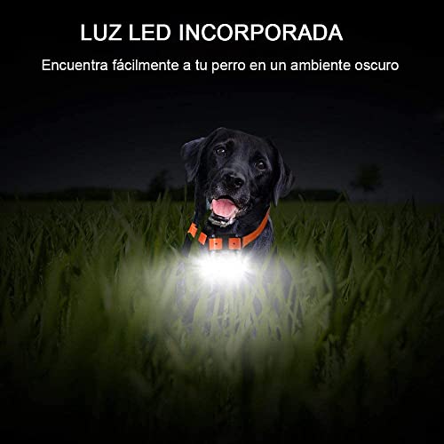 Collar de Adiestramiento para Perros, Collar Electrico Perro Recargable y Impermeable para Perros Pequeños, Medianos y Grandes con Control a Distancia 300 Metros, 2 Collars