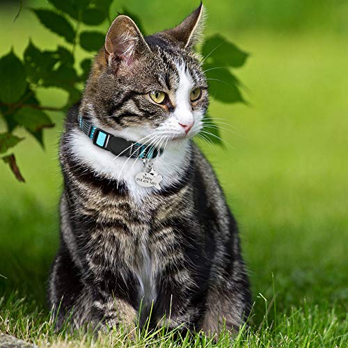 Collar de gato personalizado con placa de nombre – Collares de identificación de gato con timbre – Etiquetas de identificación para mascotas pequeñas grabadas con hebilla de liberación rápida
