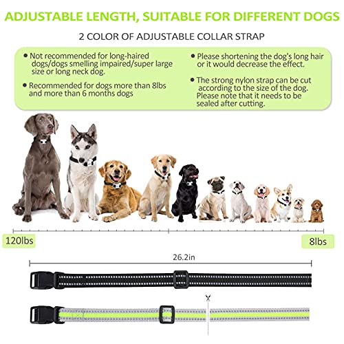 Collar de ladrido de citronela automático para Perros, [Incluye Spray de citronela] Collar de adiestramiento de Perro en Aerosol, Collares de ladrido de citronela Seguros y Humanos