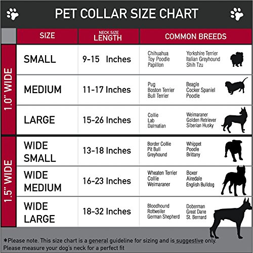 Collar de Perro Hebilla de cinturón de Seguridad Kawaii Loki de pie Texto Verde Amarillo de 15 a 26 Pulgadas de Ancho