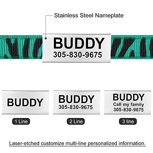 Collar Gato Personalizado con Cascabel, 1 Paquete, Liberación Rápida Collar Antiahogo para Gatos y Gatito, Verde