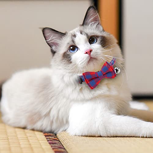 Collar Gato,Collares de Gato con Campana y Pajarita (S, Azul Rojo)